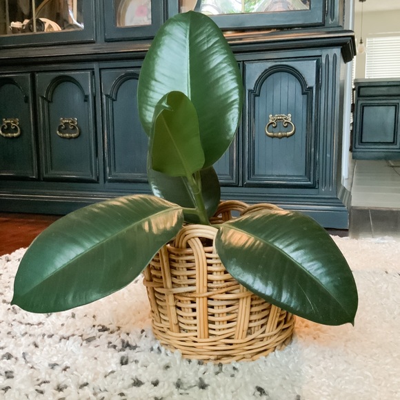 ✨SOLD✨OLD Vintage Rattan Planter or Basket - Picture 2 of 5